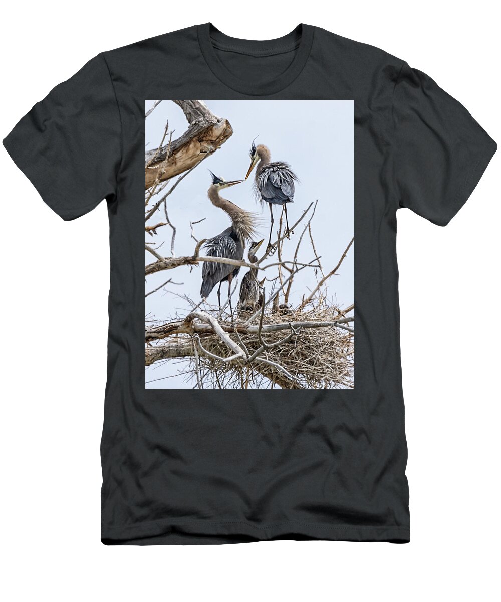 Stillwater Wildlife Refuge T-Shirt featuring the photograph Great Blue Heron Rookery 4 by Rick Mosher