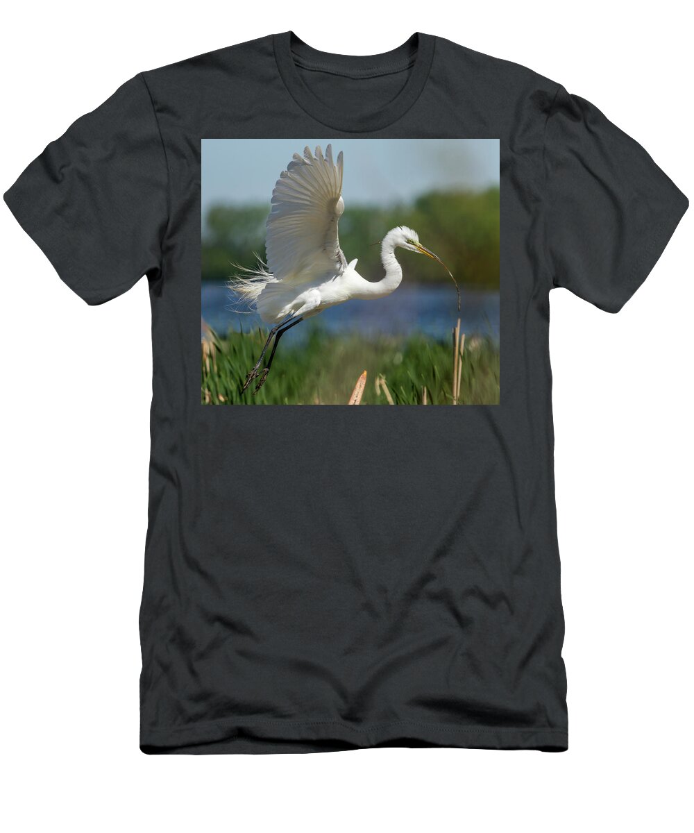 Great Egret T-Shirt featuring the photograph Great Egret 2014-1 by Thomas Young