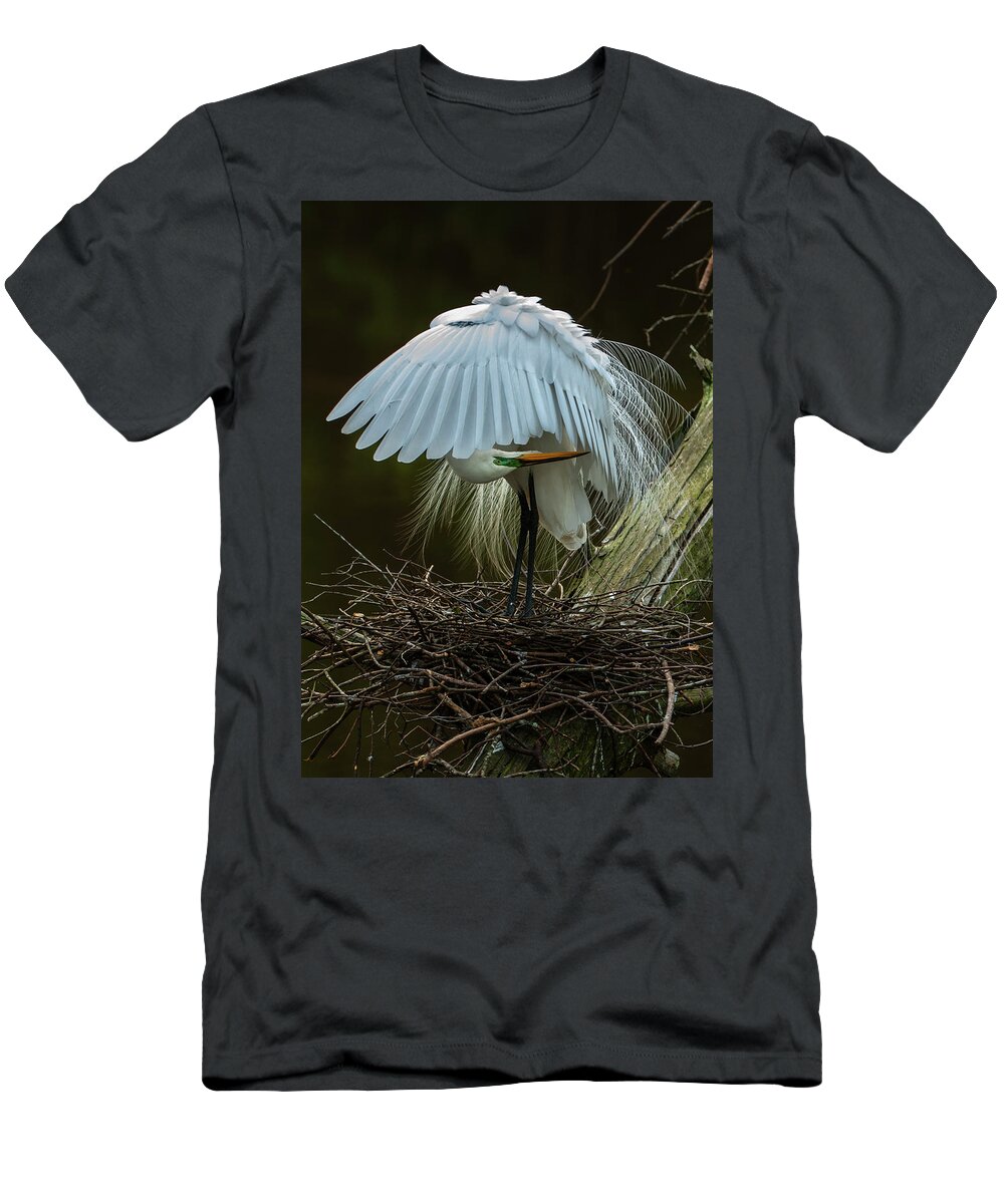 Nature T-Shirt featuring the photograph Great Egret Beauty by Donald Brown