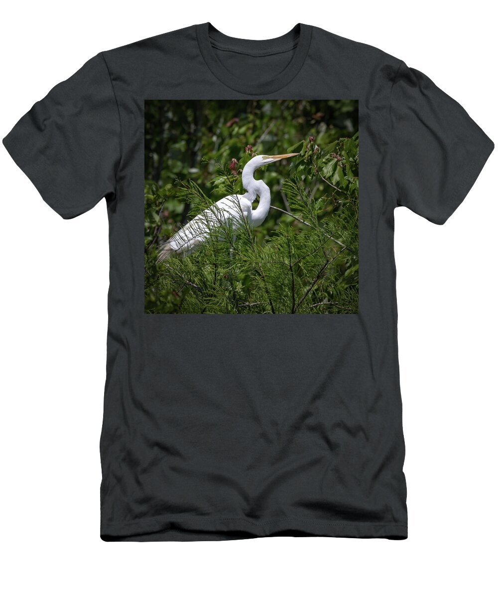 Shorebirds T-Shirt featuring the photograph Great White Heron by JASawyer Imaging