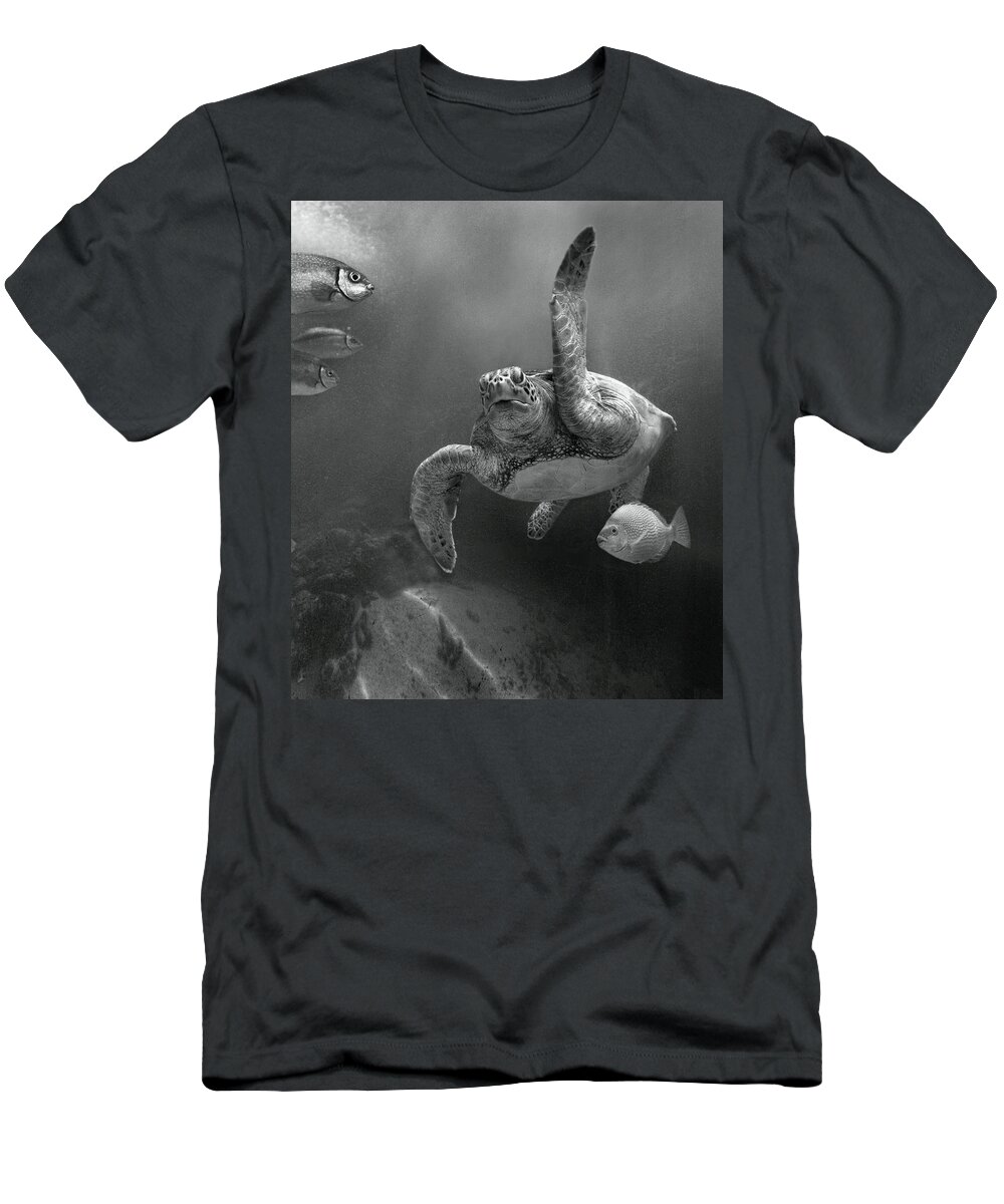 Disk1215 T-Shirt featuring the photograph Green Sea Turtle Malaysia by Tim Fitzharris