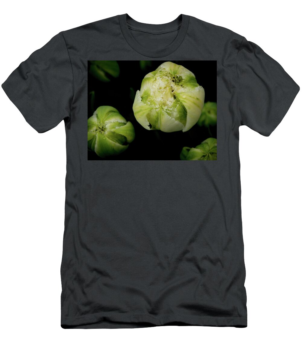 Green Tulips T-Shirt featuring the photograph Green Tulips by Jean Noren