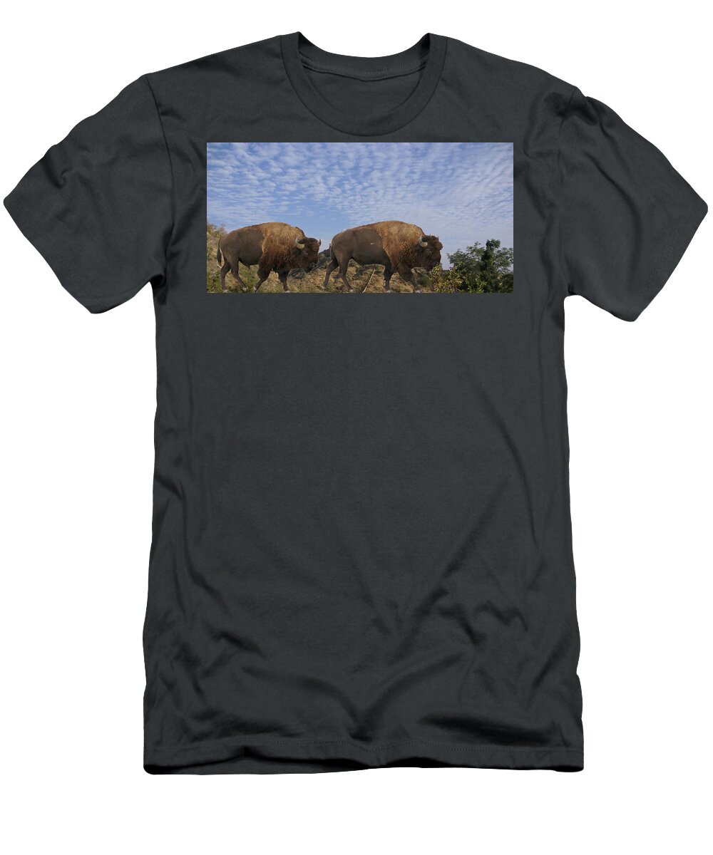 Group T-Shirt featuring the photograph Group of bison walking against rocky mountains by Steve Estvanik