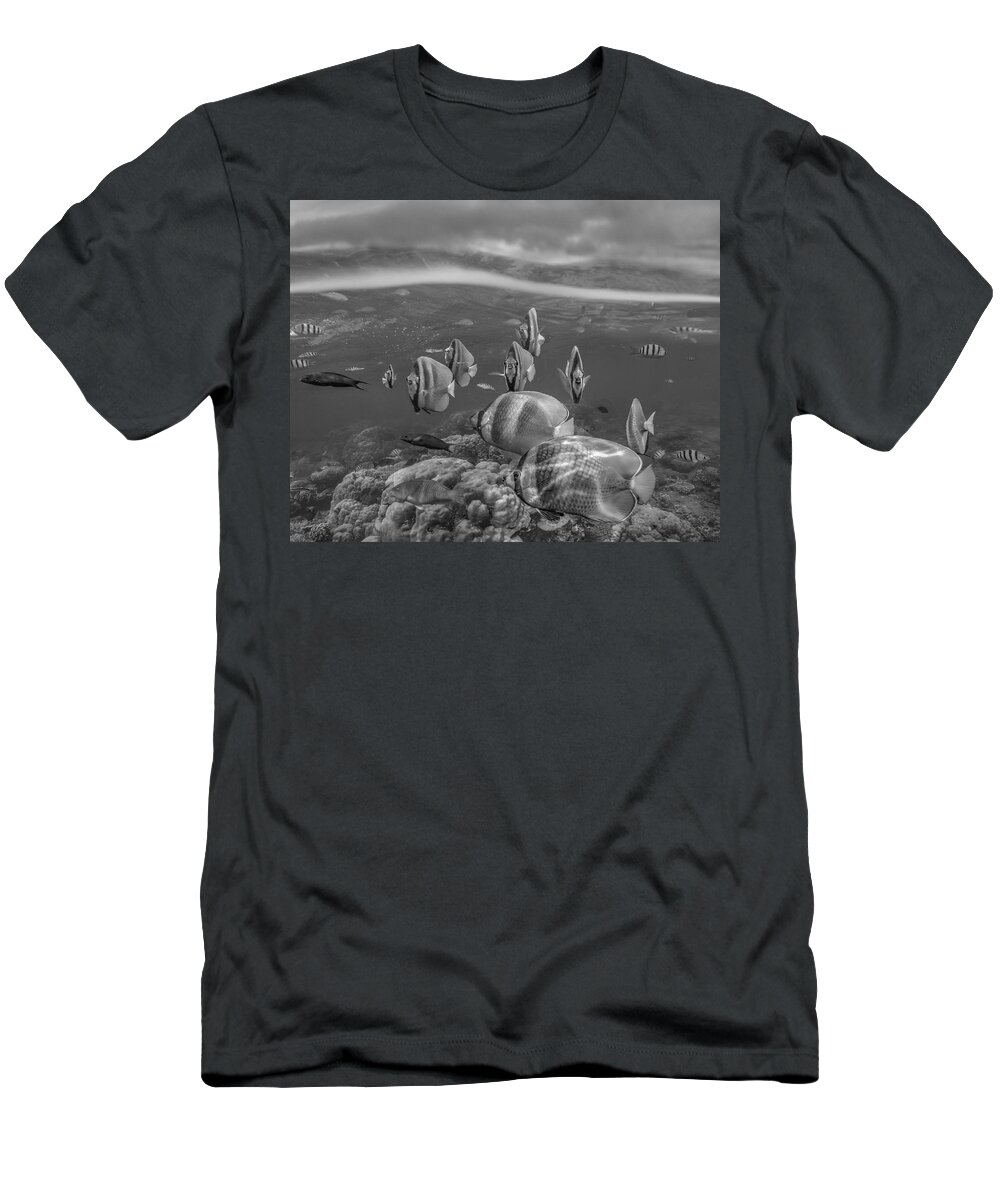 Disk1215 T-Shirt featuring the photograph Group Of Butterflyfish Philippines by Tim Fitzharris