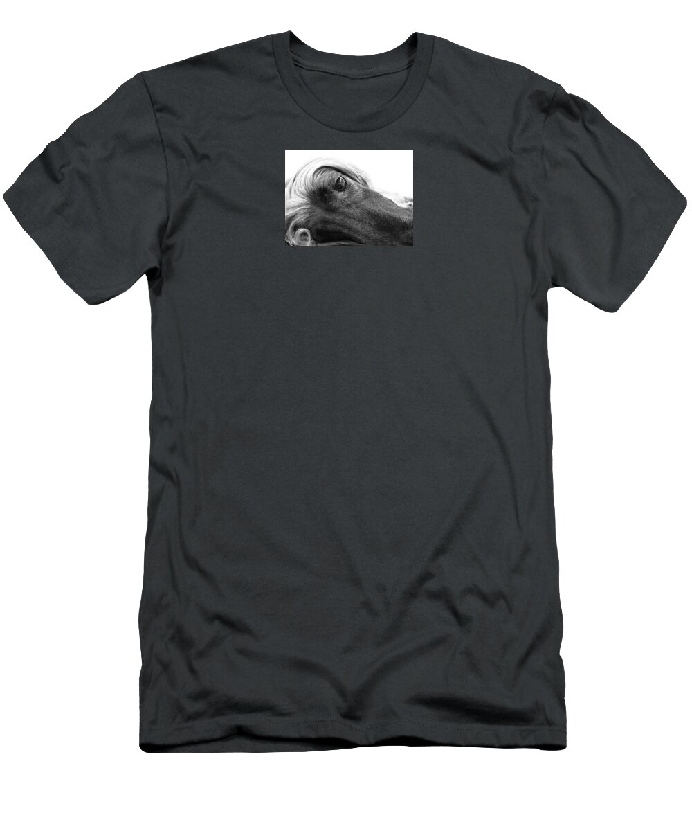 Dog T-Shirt featuring the digital art Haji's Curl by Diane Chandler