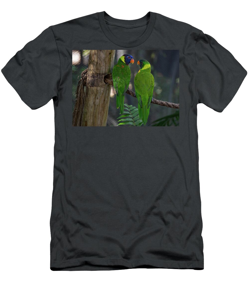 Lorikeet T-Shirt featuring the photograph Hello There by Margaret Zabor