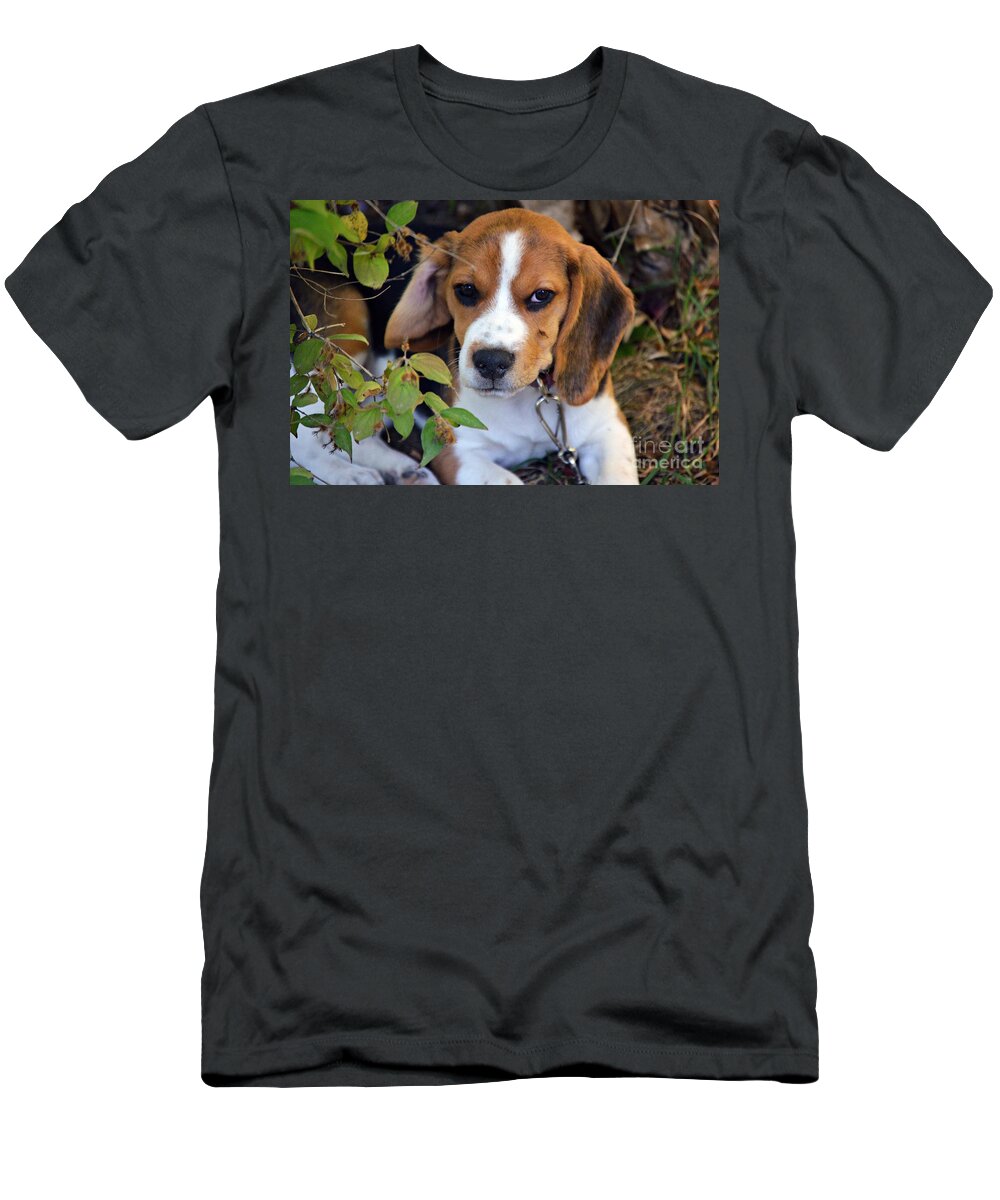Beagle Puppy T-Shirt featuring the photograph Hermine The Beagle by Thomas Schroeder