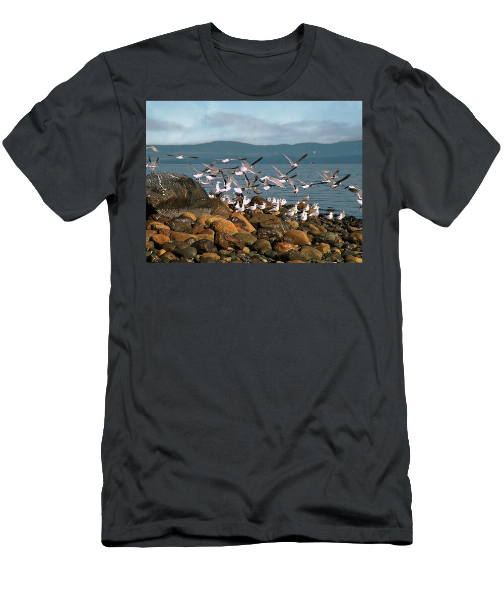 Herring Season T-Shirt featuring the photograph Herring Season by Micki Findlay