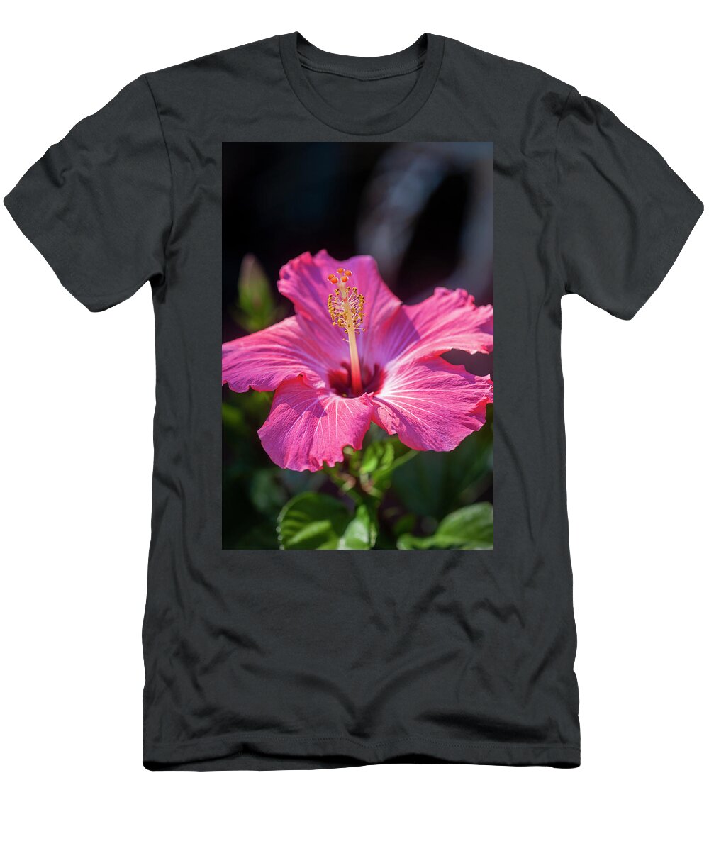Nature T-Shirt featuring the photograph Hibiscus Painted Lady 119 by Rich Franco