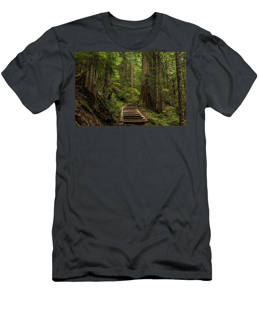 Hiking Trail T-Shirt featuring the photograph Hiking in Mt. Rainier, Washington by Julieta Belmont