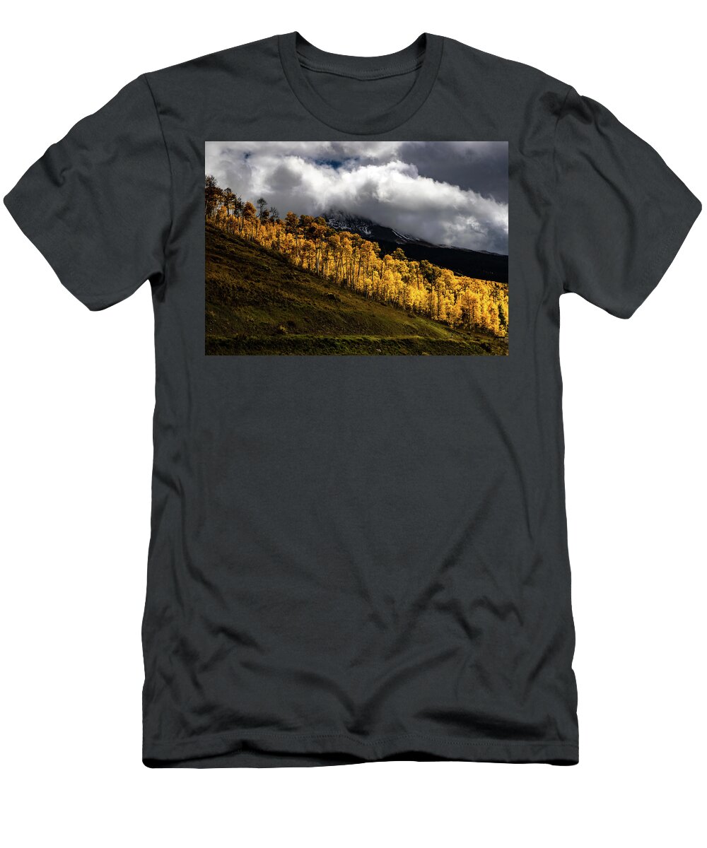 Mount Wilson Peak T-Shirt featuring the photograph Hillside Aspens by Norma Brandsberg