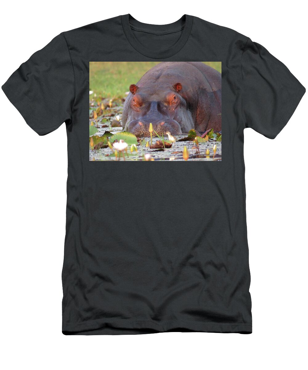 Africa T-Shirt featuring the photograph Hippo by Eric Pengelly