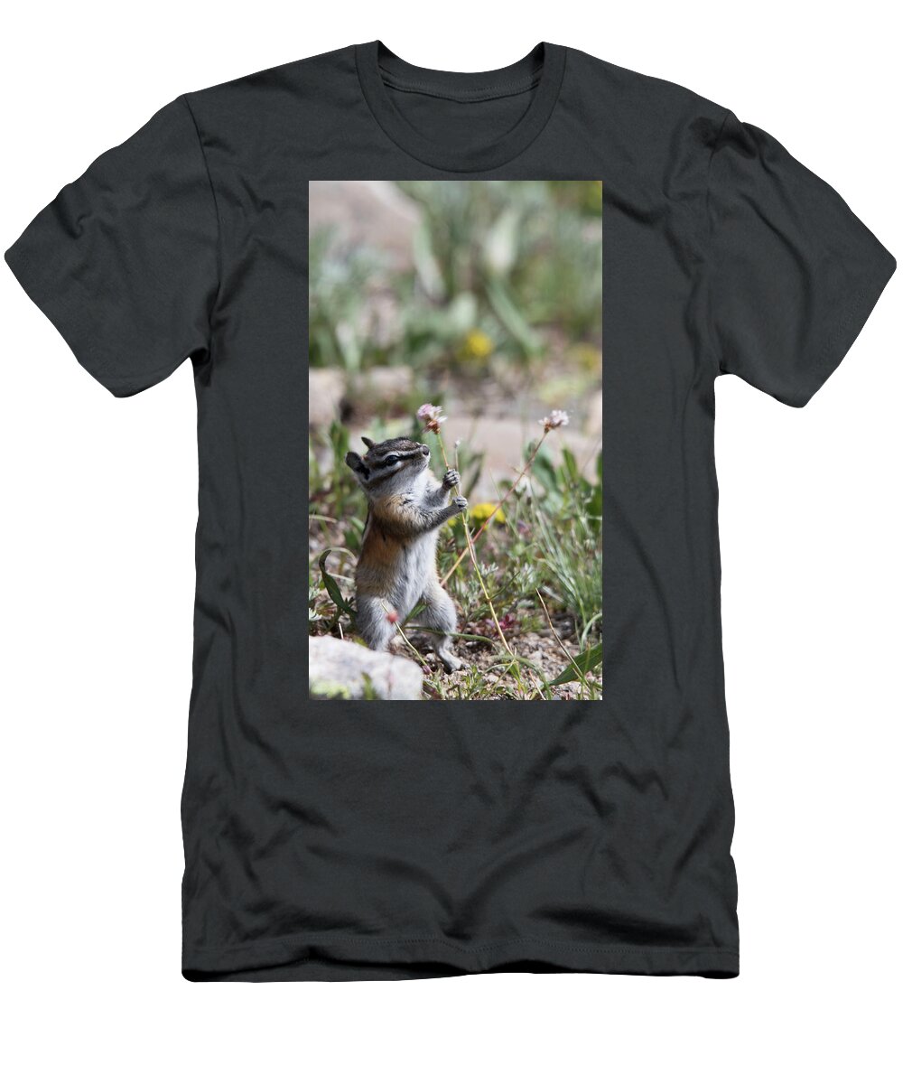 Chipmunk T-Shirt featuring the photograph Hold On by Patrick Nowotny