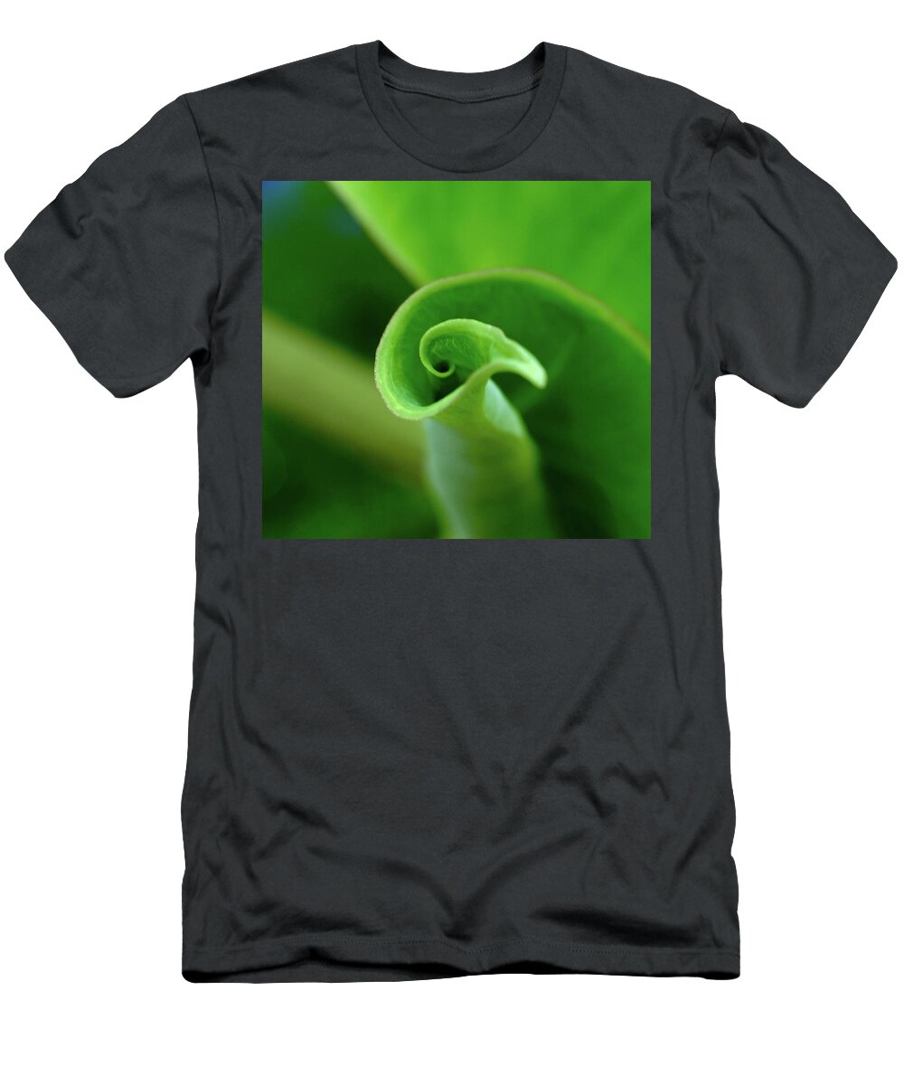 Elephant Ear Leaf Unfurling Curl Round Circle New Growth Green Floral Tropical Plant Nature Pitcher Container Natural Swirl Motion Twirl Shadow Edges Images Direction Bird Shell Green Yellow White Abstract Moods Contemporary Design T-Shirt featuring the photograph Holding Water by Alida M Haslett