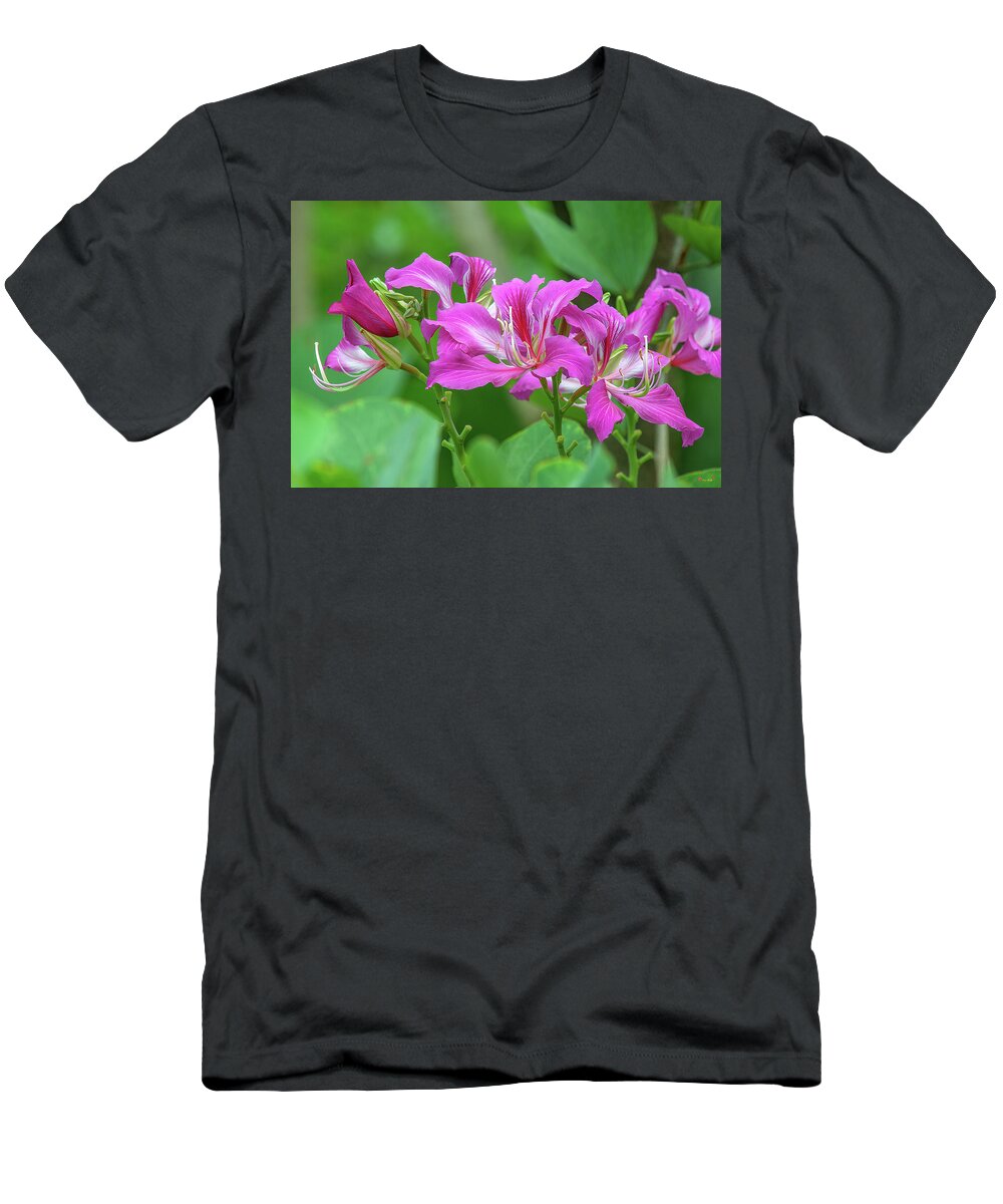 Scenic T-Shirt featuring the photograph Hong Kong Orchid Tree DTHN0263 by Gerry Gantt
