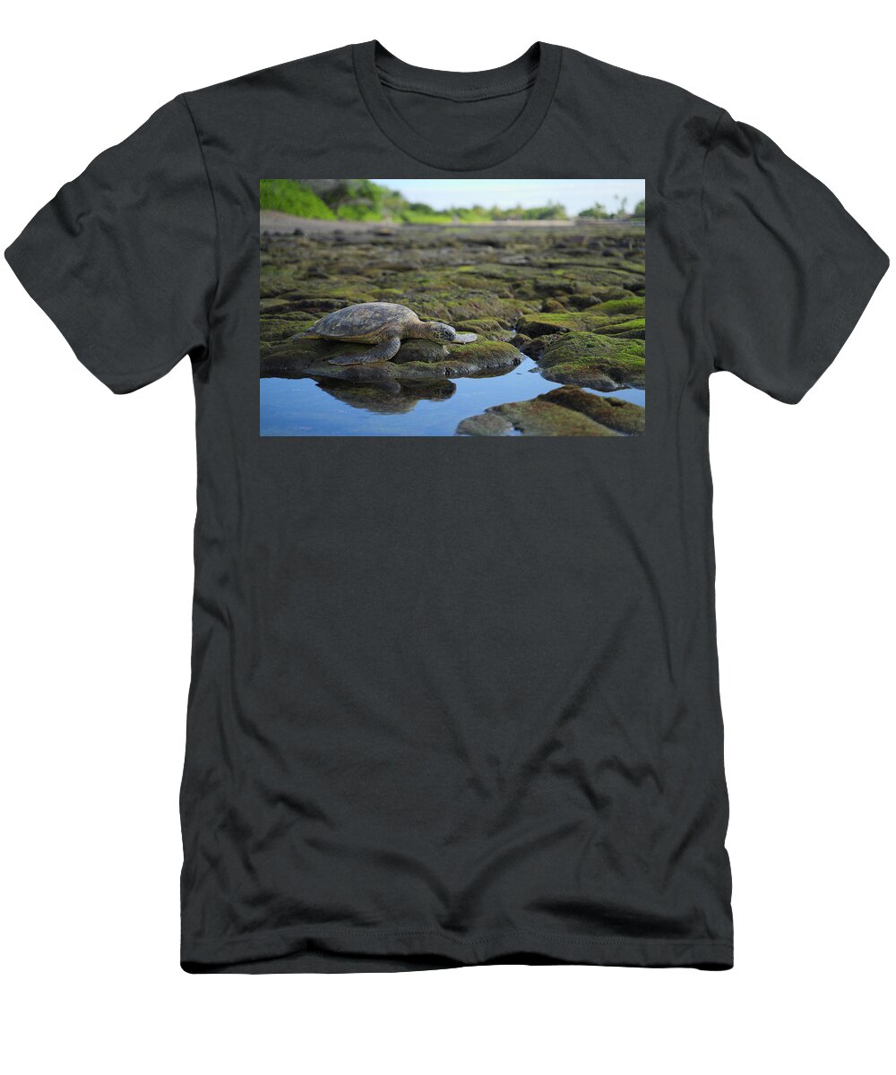 Wildlife T-Shirt featuring the photograph Honu reflections by Ivan Franklin