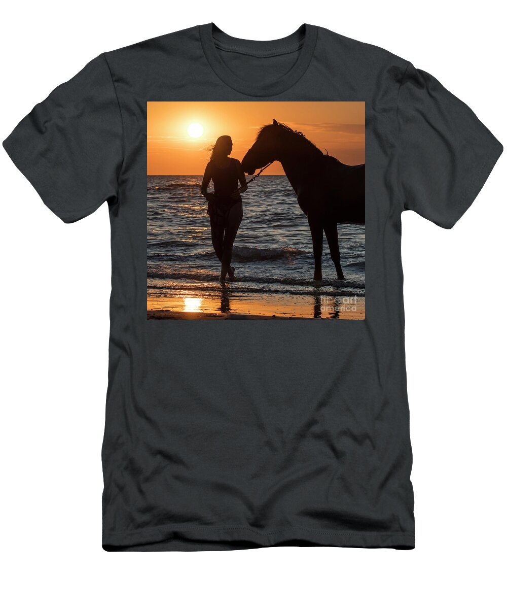 Female T-Shirt featuring the photograph Horse on the Beach by Arterra Picture Library