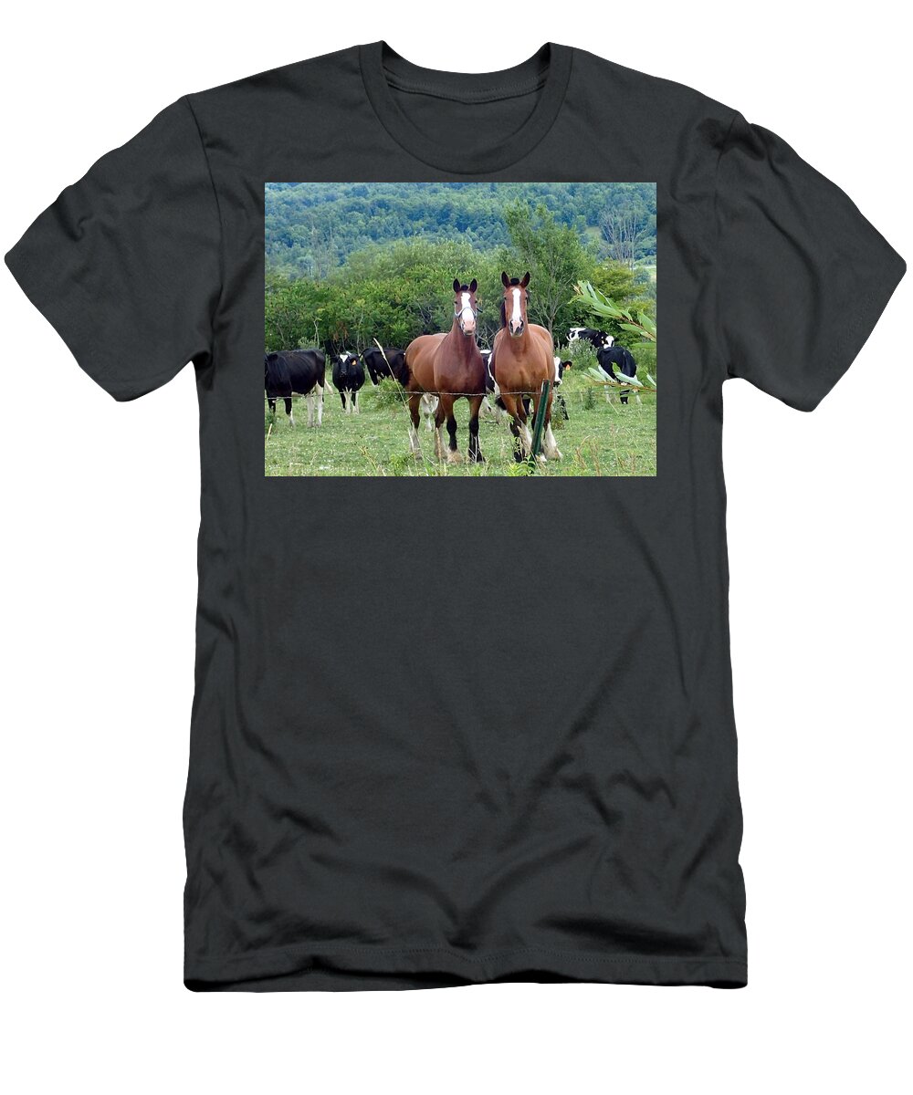 Horse T-Shirt featuring the photograph Horses and cows. by Susan Jensen
