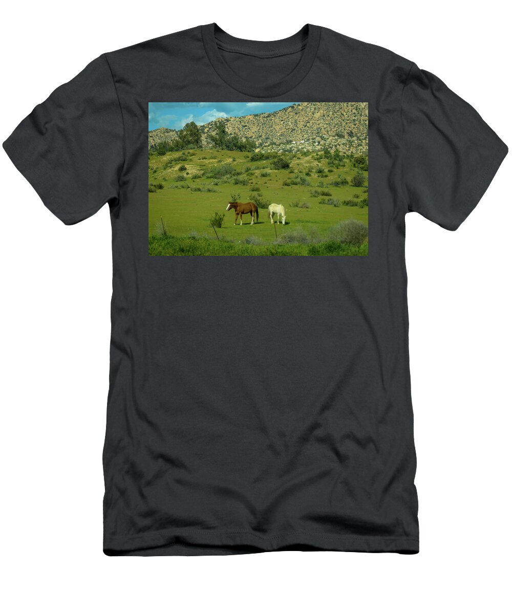 Horses T-Shirt featuring the photograph Horses on a Hillside by Debra Kewley