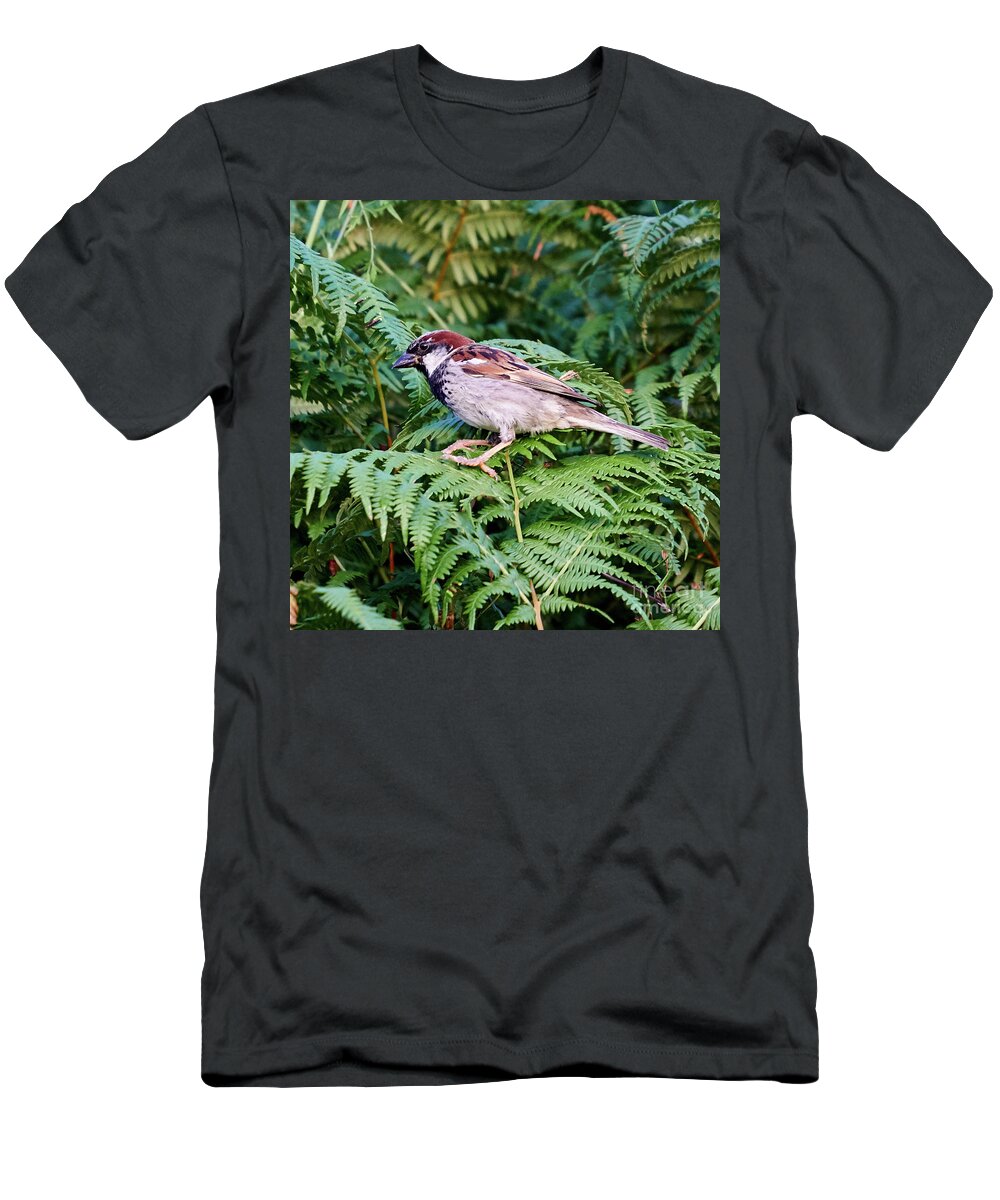 Branch T-Shirt featuring the photograph House Sparrow Male Perched on Fern by Pablo Avanzini