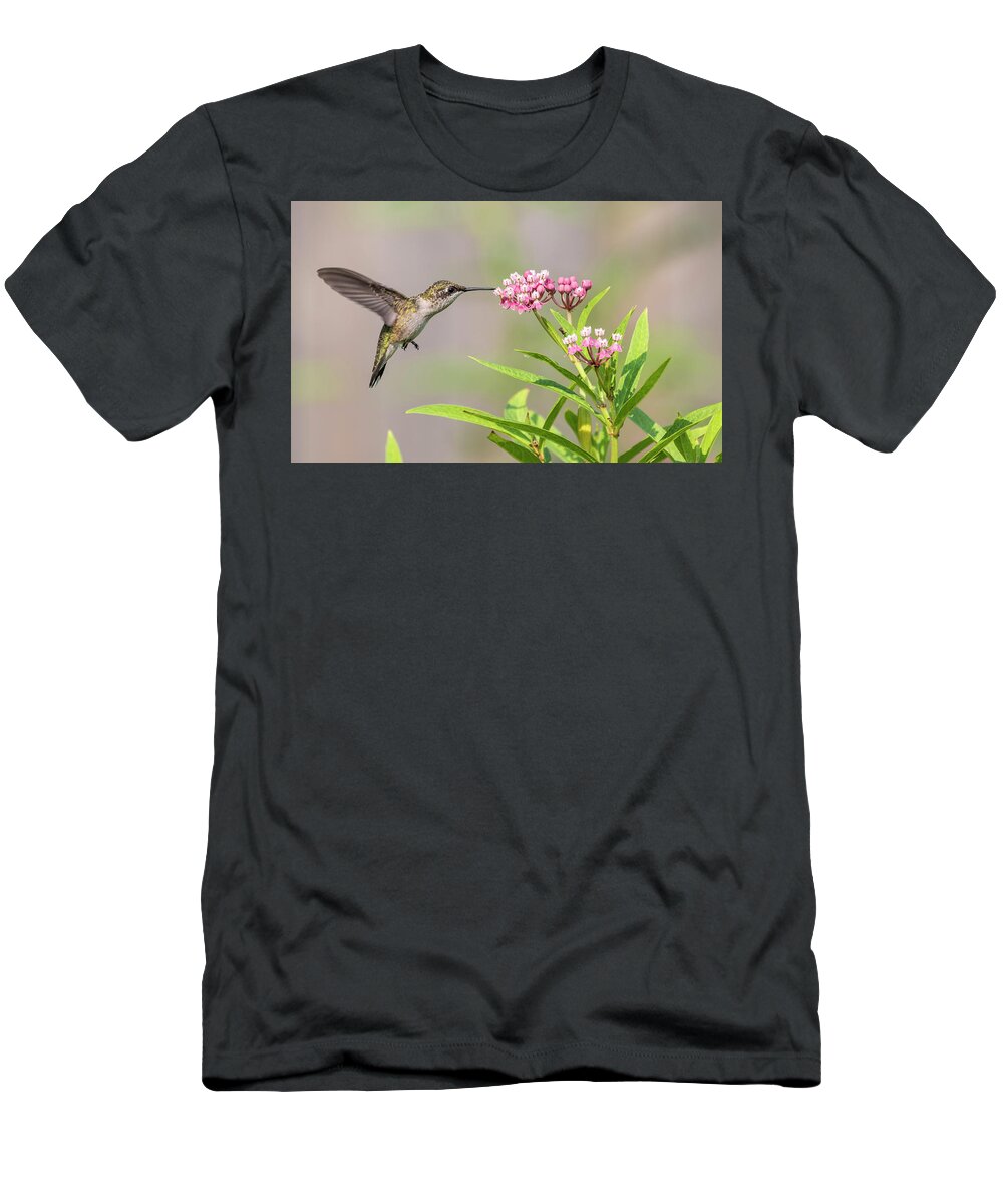 Ruby-throated Hummingbird T-Shirt featuring the photograph Hummingbird 2018-1 by Thomas Young