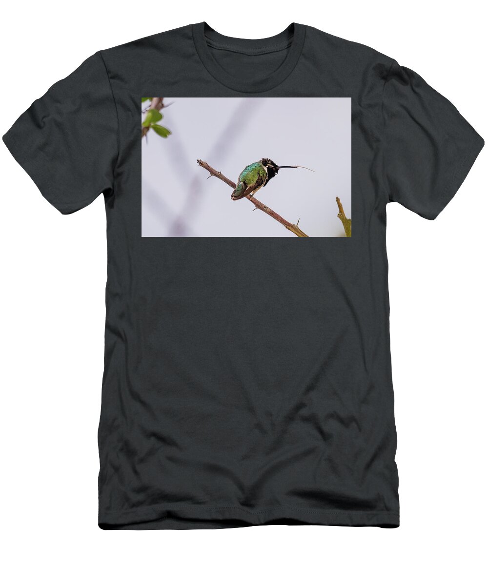 Hummingbird T-Shirt featuring the photograph Hummingbird Tongue by Rebekah Zivicki