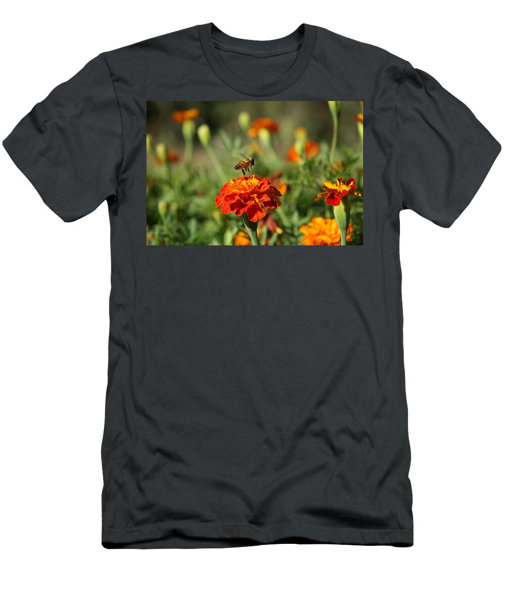  T-Shirt featuring the photograph In Cerca Di Nettare by Simone Lucchesi