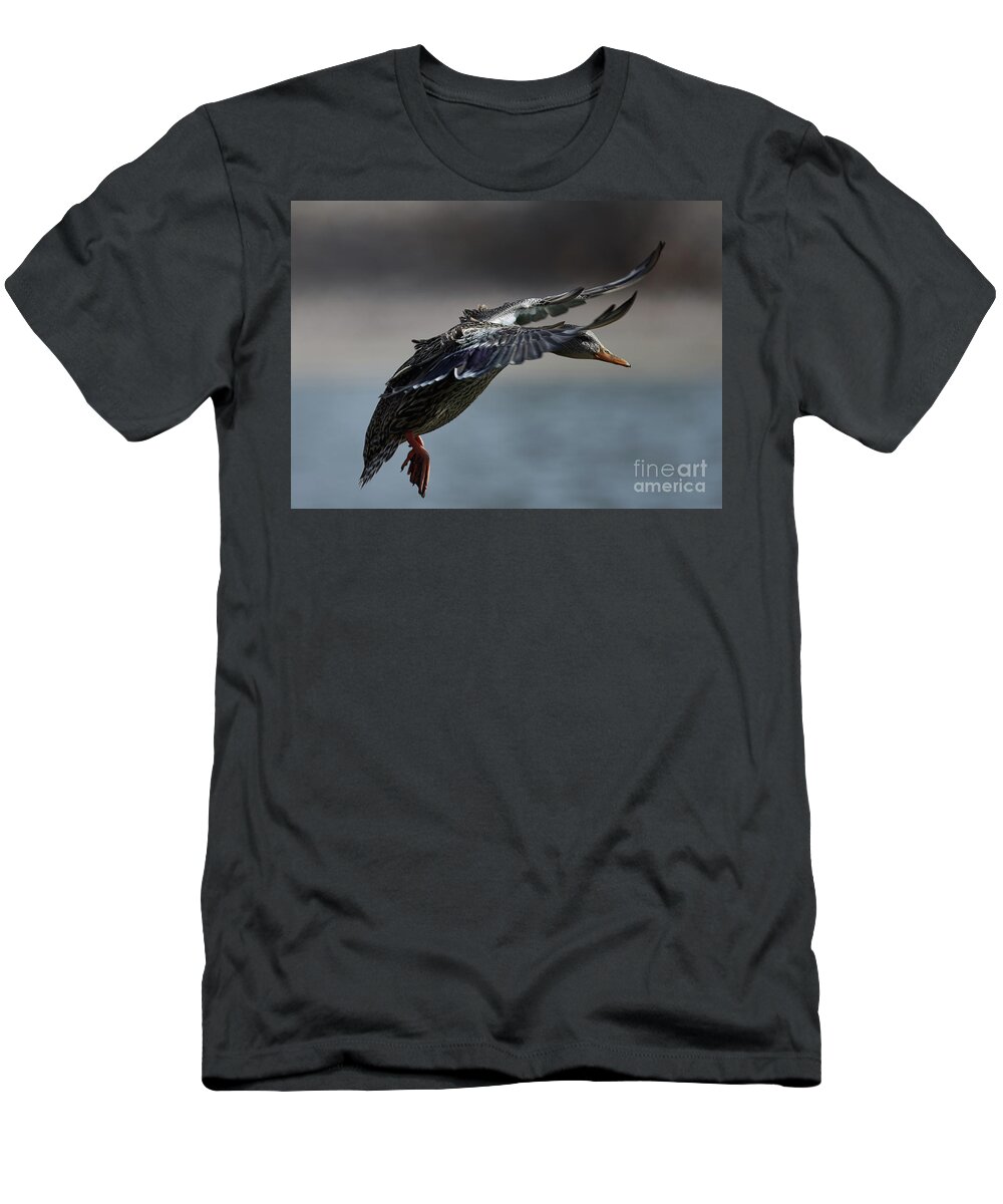 Ducks T-Shirt featuring the photograph Incoming by Robert WK Clark