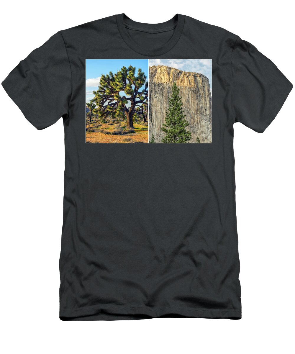 Yosemite T-Shirt featuring the photograph Joshua Tree Yosemite National Parks Diptych 3 by Joseph S Giacalone