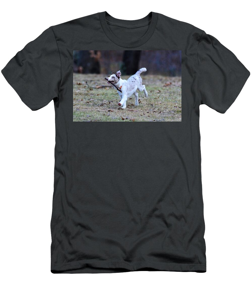 Juno T-Shirt featuring the photograph Juno playing Fetch by Jo-Ann Matthews