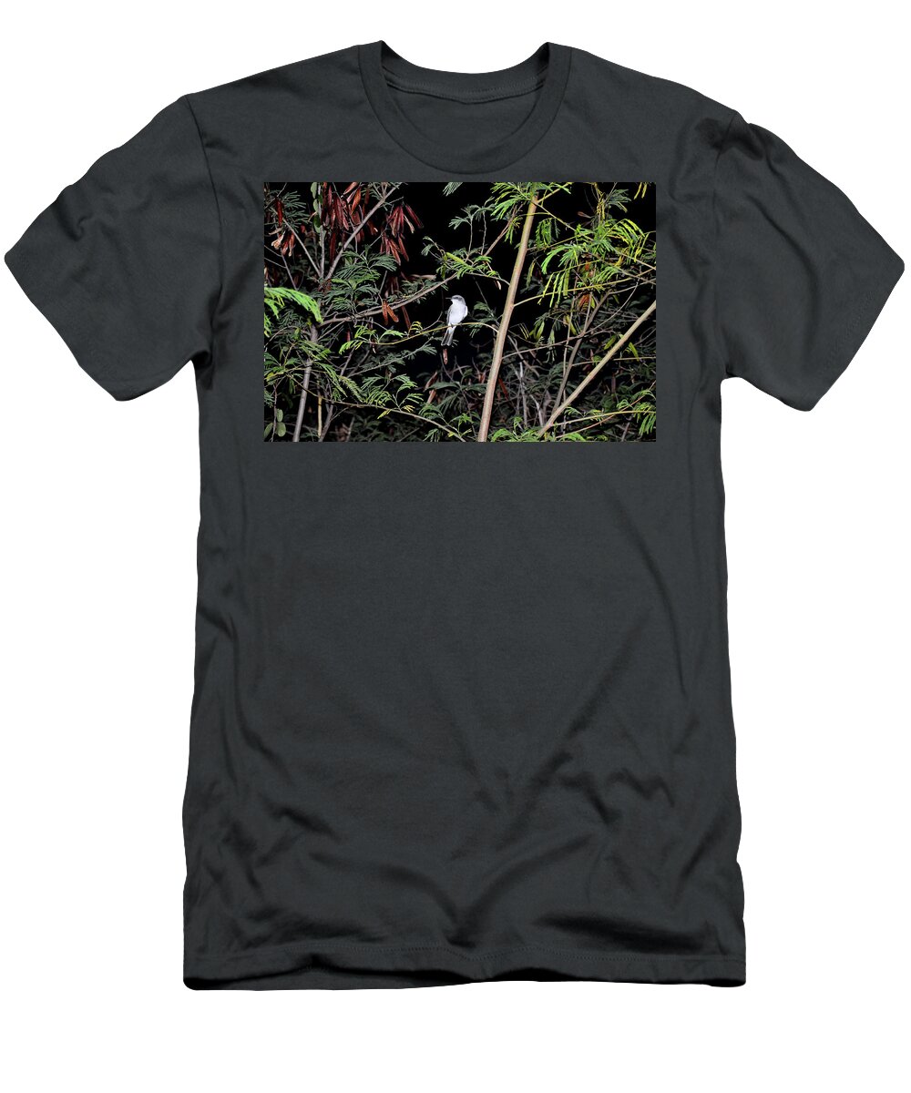 Gray Kingbird T-Shirt featuring the photograph Kingbird at Night by Climate Change VI - Sales