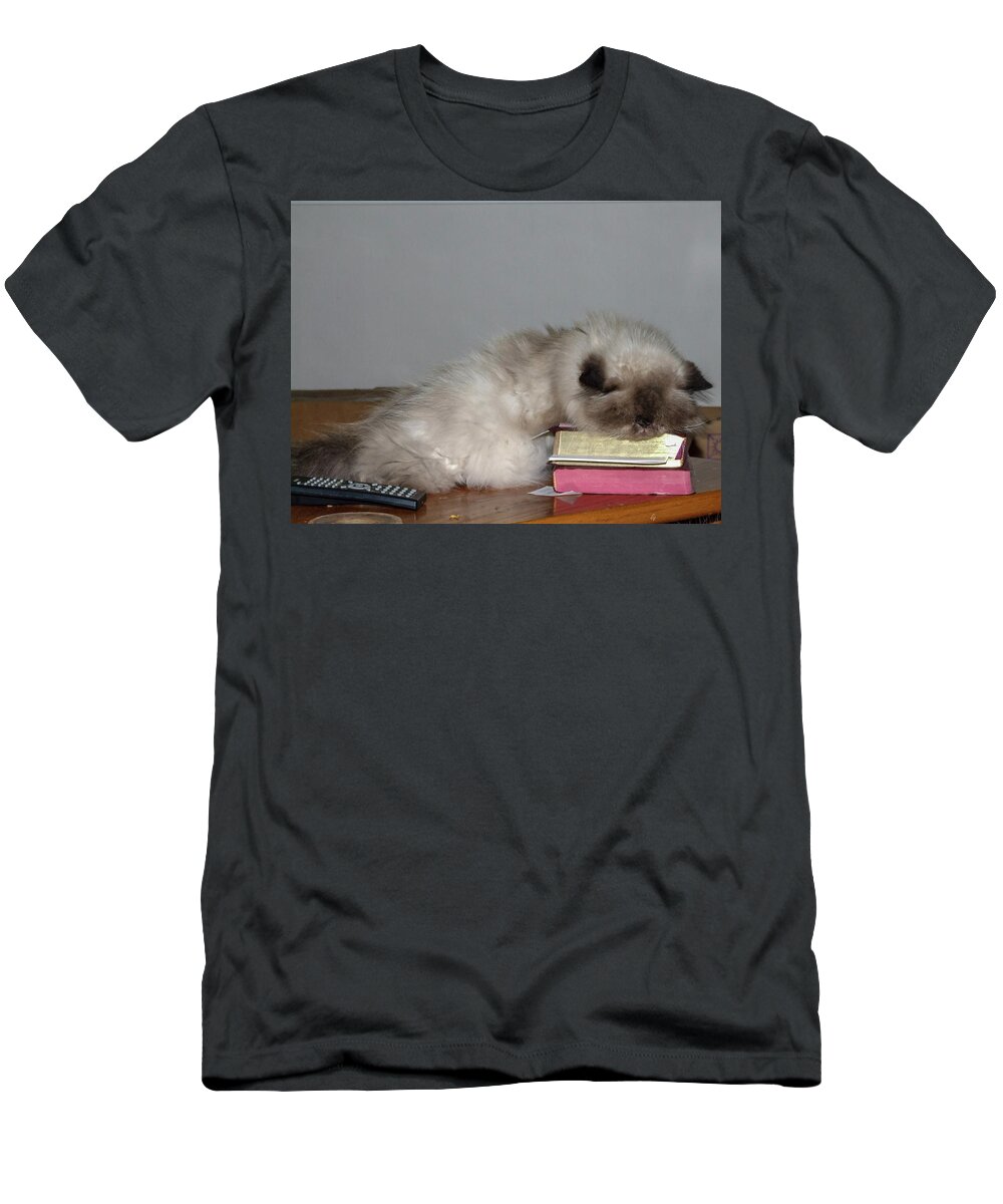 Grey T-Shirt featuring the photograph Knap Time for Kitty by Chuck Shafer