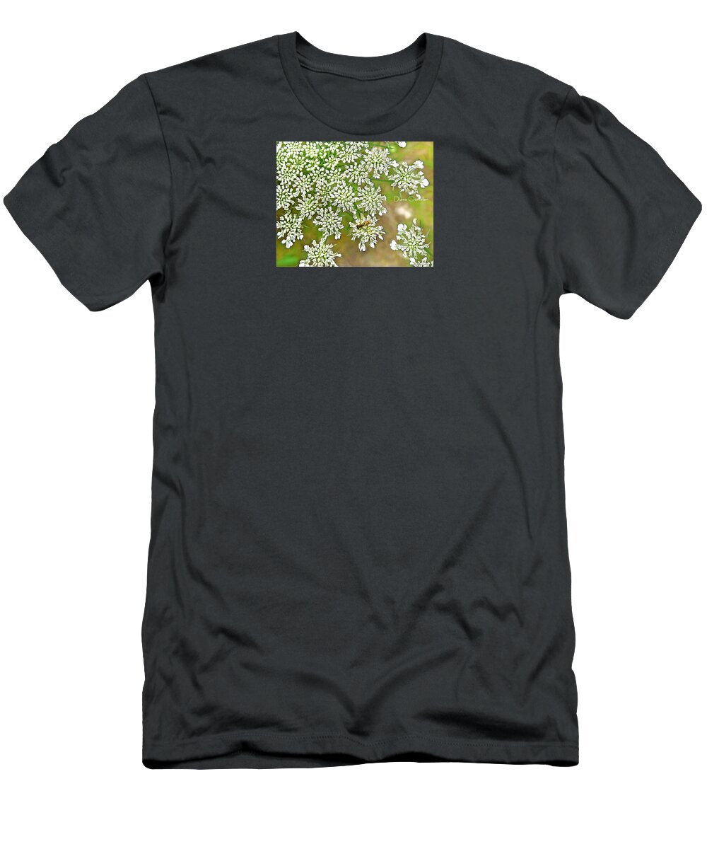 Queen Anne's Lace T-Shirt featuring the digital art Lace and Bee by Diane Chandler
