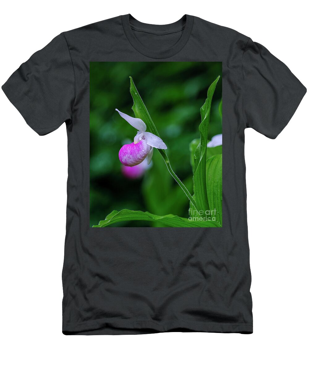 Blossom T-Shirt featuring the photograph Lady Slipper by Bill Frische