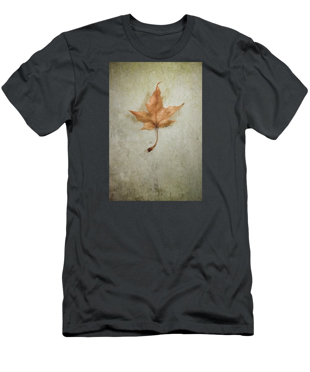 Leaf T-Shirt featuring the photograph Last Days by Scott Norris