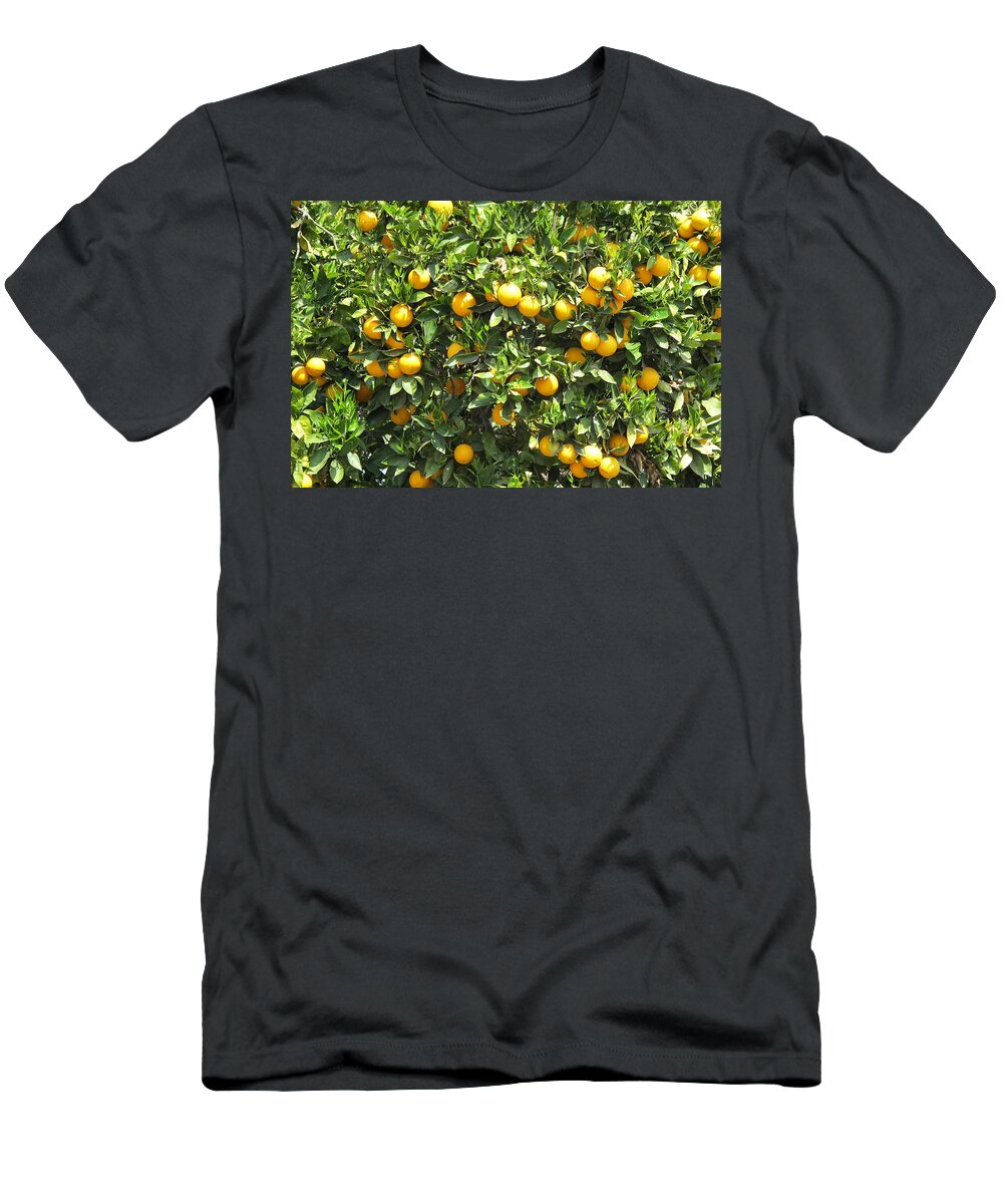 Lemons T-Shirt featuring the photograph Lemon Tree by Laura Smith