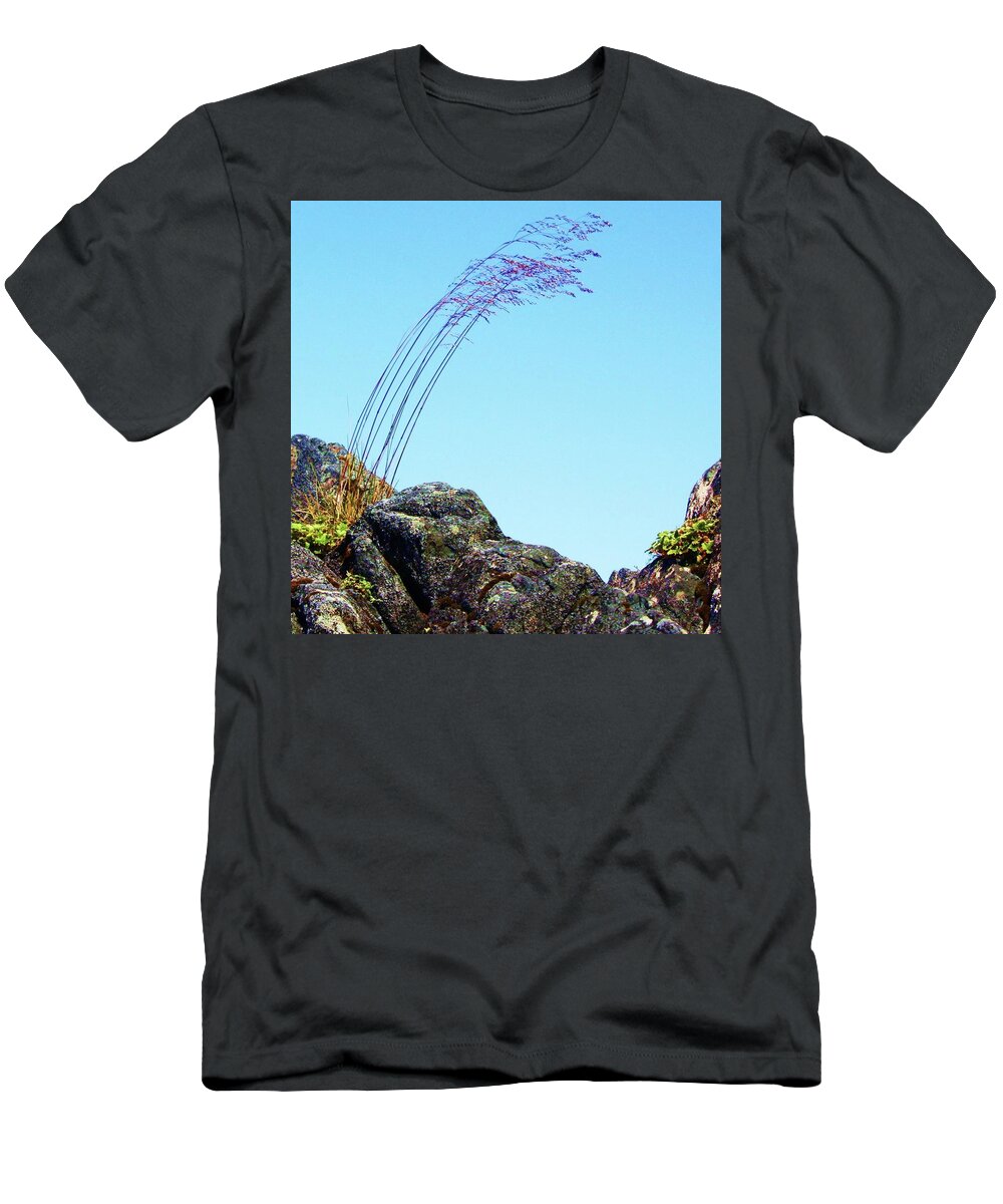 Grass T-Shirt featuring the photograph Life by Fred Bailey