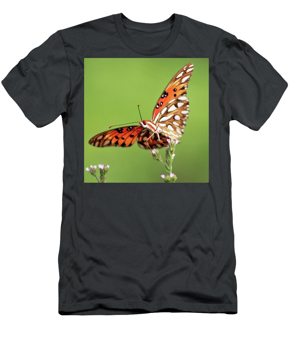 Butterfly T-Shirt featuring the photograph Life in Balance by Michael Allard
