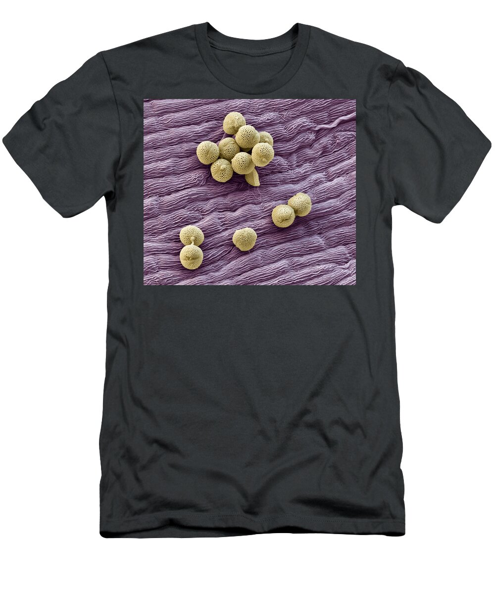 Allergen T-Shirt featuring the photograph Lilac Pollen by Meckes/ottawa