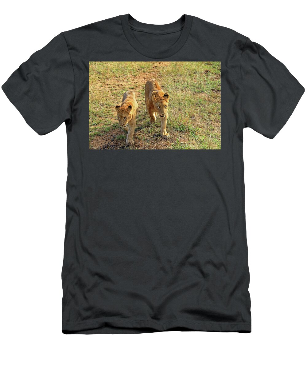 Lion T-Shirt featuring the photograph Lion Cubs by Richard Krebs