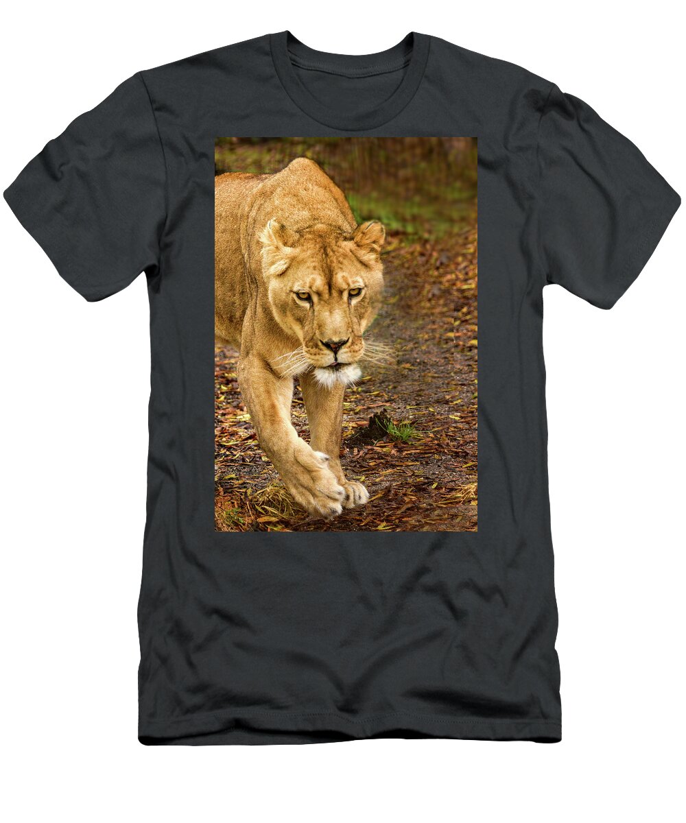 Lioness T-Shirt featuring the photograph Lioness #2 by Minnie Gallman
