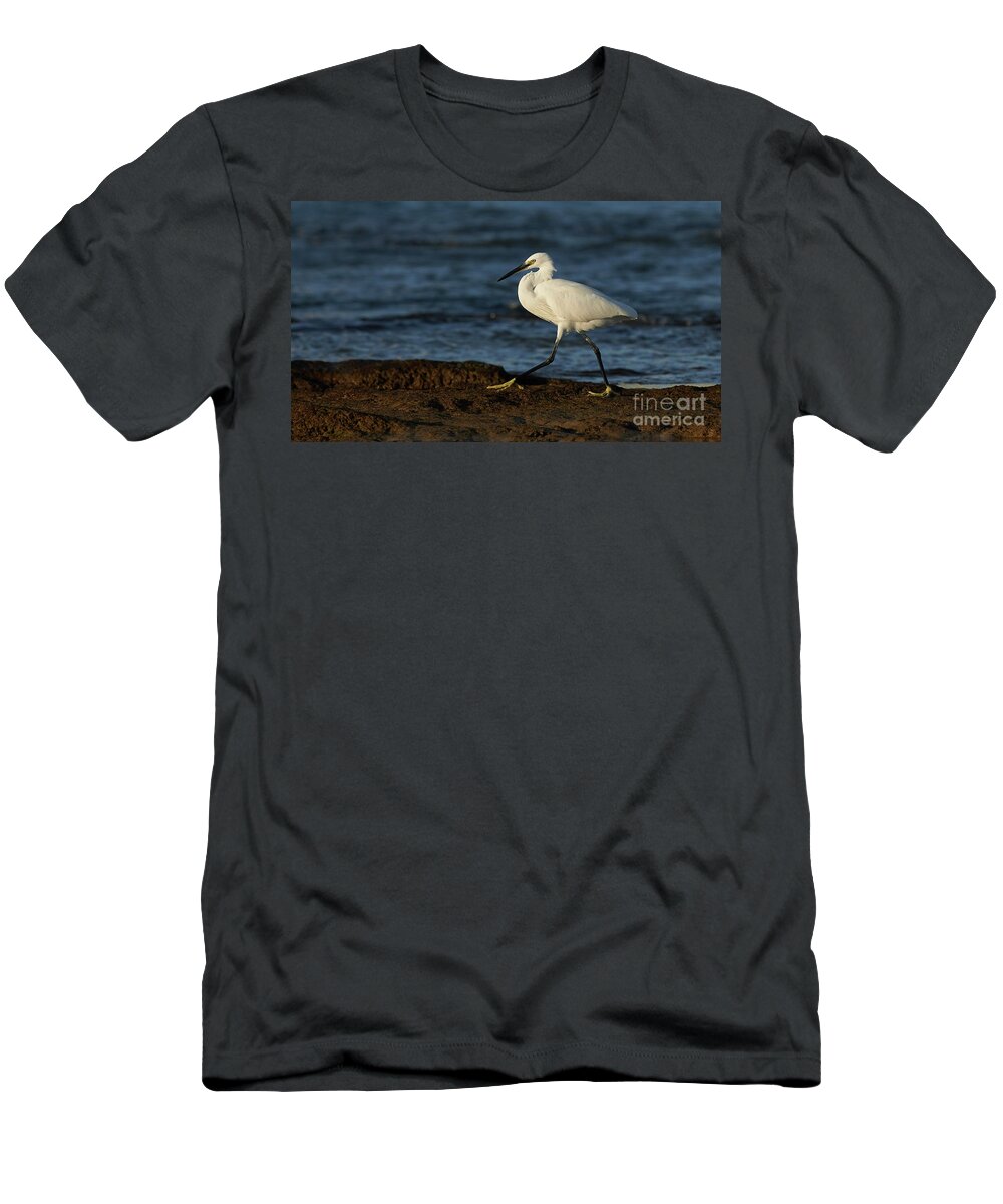 Outdoors T-Shirt featuring the photograph Little Egret Egretta garzetta La Caleta Beach Cadiz by Pablo Avanzini