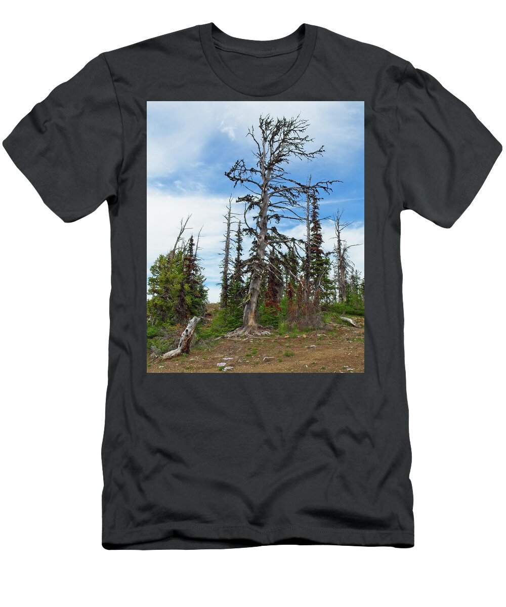 Manning Provincial Park T-Shirt featuring the photograph Live Long and Prosper by Allan Van Gasbeck