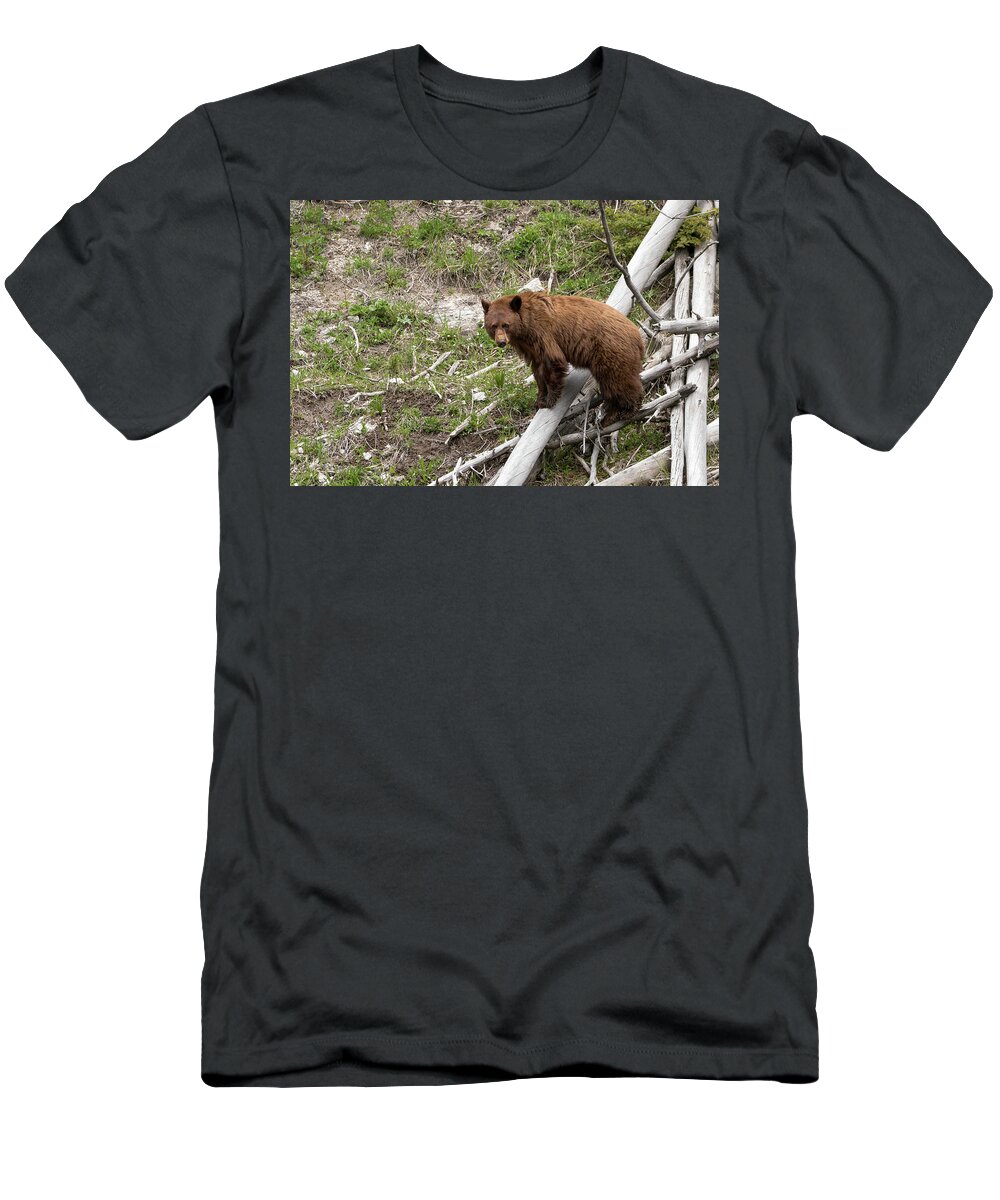 Bears T-Shirt featuring the photograph Log Lover by Ronnie And Frances Howard