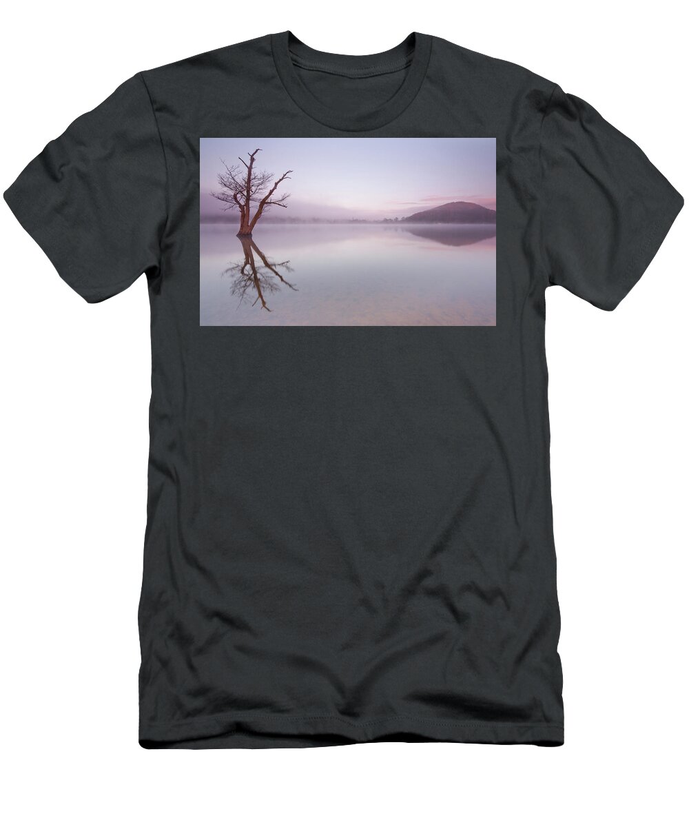 Landscape T-Shirt featuring the photograph Lone dead tree in the Lake by Anita Nicholson
