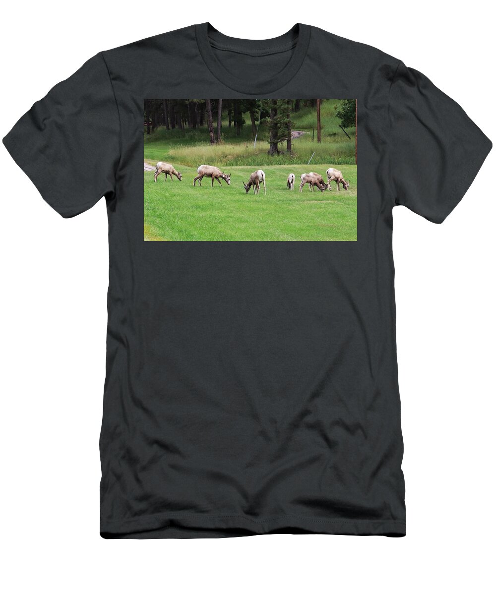 Longhorn Sheep At Custer T-Shirt featuring the photograph Longhorn Sheep at Custer by Susan Jensen