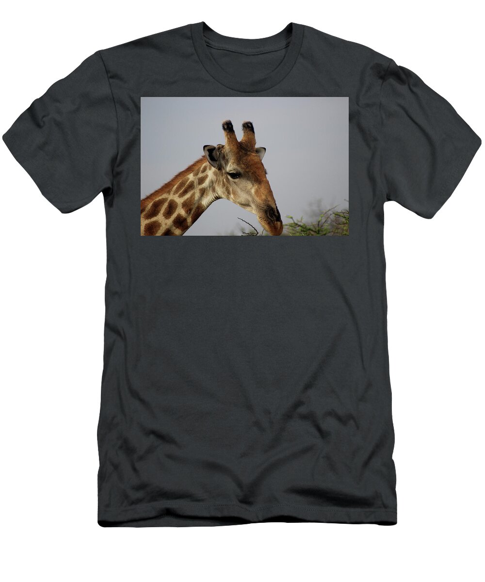  T-Shirt featuring the photograph Looking down by Eric Pengelly