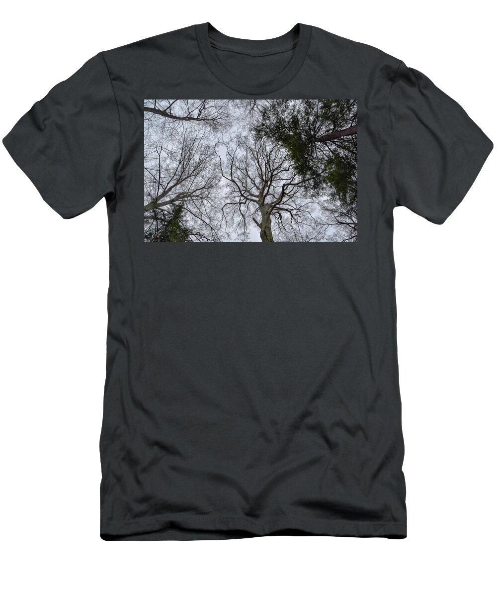 Looking Up T-Shirt featuring the photograph Looking Up by Michelle Wittensoldner