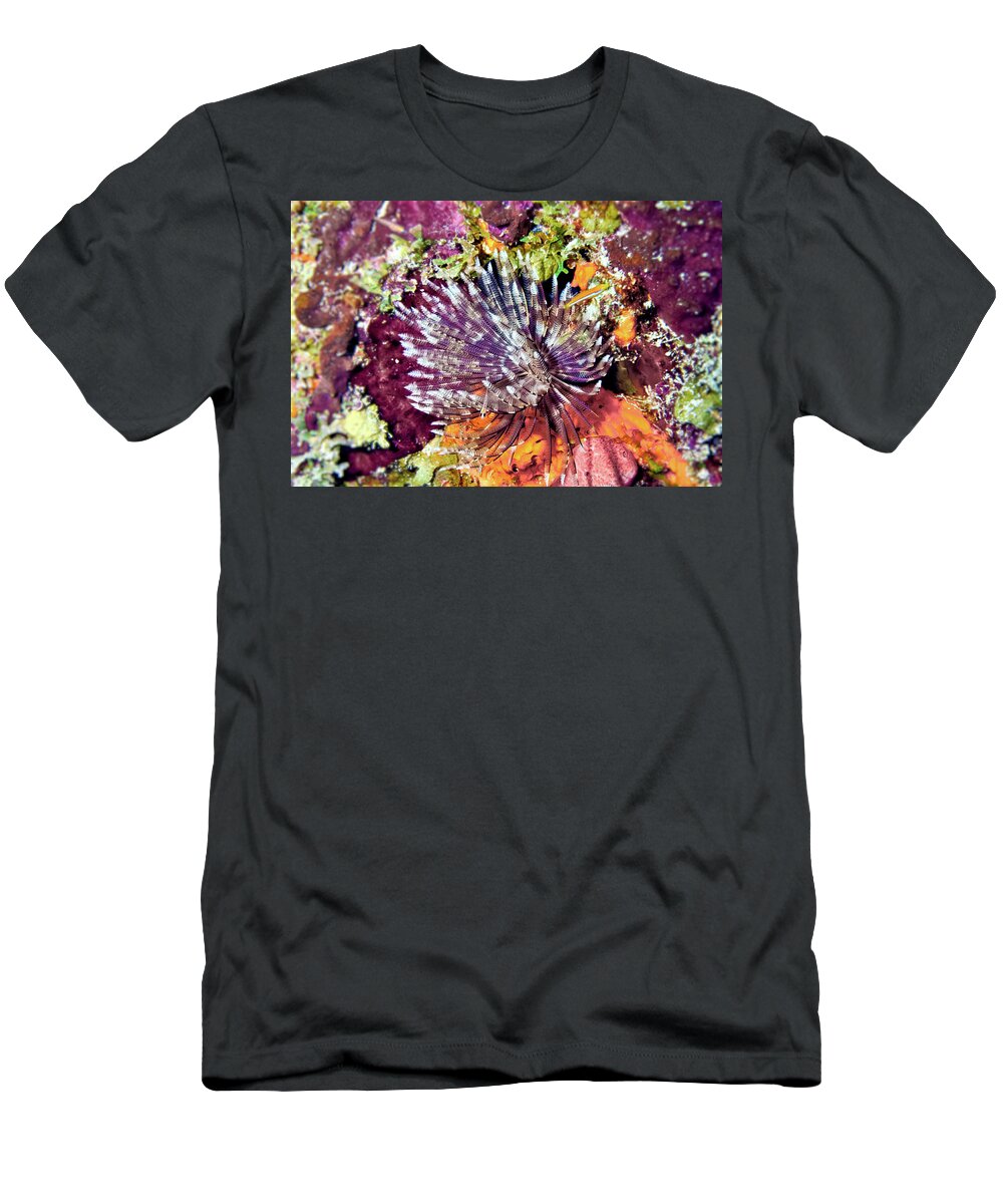 Sabellastarte Magnifica T-Shirt featuring the photograph Magnificent Feather Duster by Climate Change VI - Sales