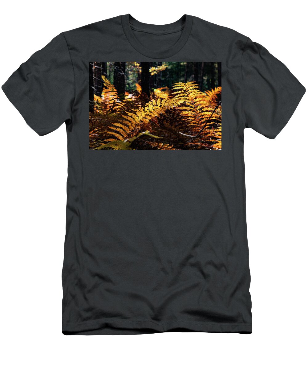 Autumn T-Shirt featuring the photograph Maine Autumn Ferns by Jeff Folger
